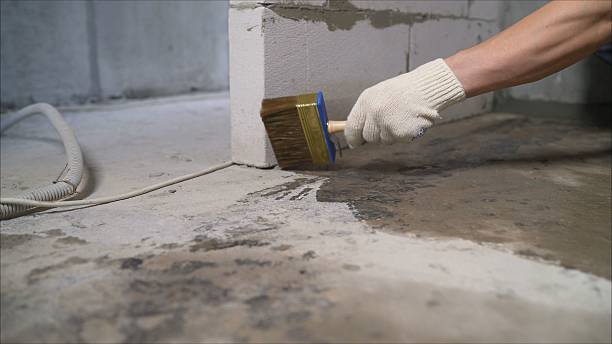 Crawl space vapor barrier installation in Rising Sun, MD